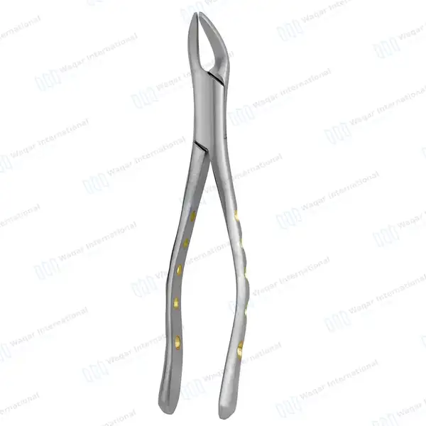 Extracting Forceps #151 P-1 Diamond Dusted Gold Hollow Handle - dental instruments manufactured by Waqar International, Sialkot - view 8