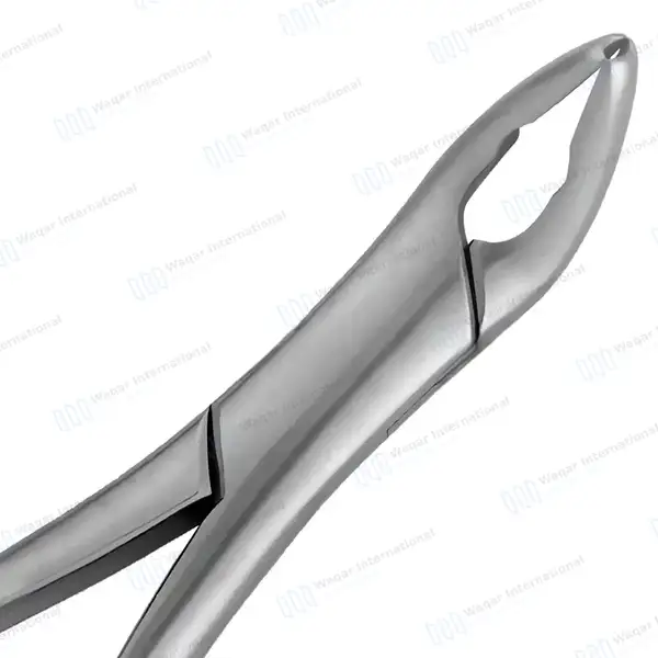 Extracting Forceps #151 Pattern-2 Diamond Dusted - dental instruments manufactured by Waqar International, Sialkot - view 4