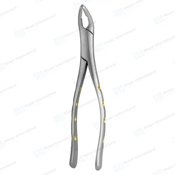 Extracting Forceps #151 Pattern-2 Diamond Dusted - dental instruments manufactured by Waqar International, Sialkot - view 8