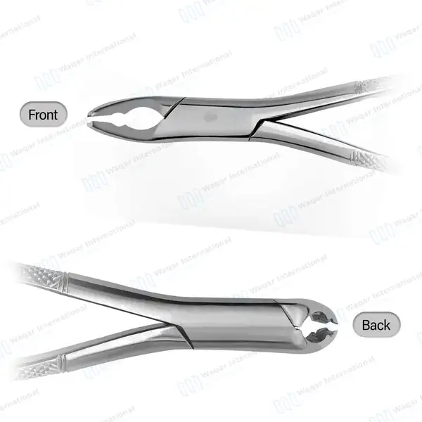 Pedo Extracting Forceps #151XAS for Lower Anterior - surgical instruments manufactured by Waqar International, Sialkot - view 4