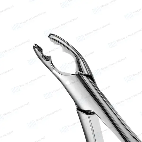 Pedo Extracting Forceps #150XAS Split Beak Serrated - surgical instruments manufactured by Waqar International, Sialkot - view 3