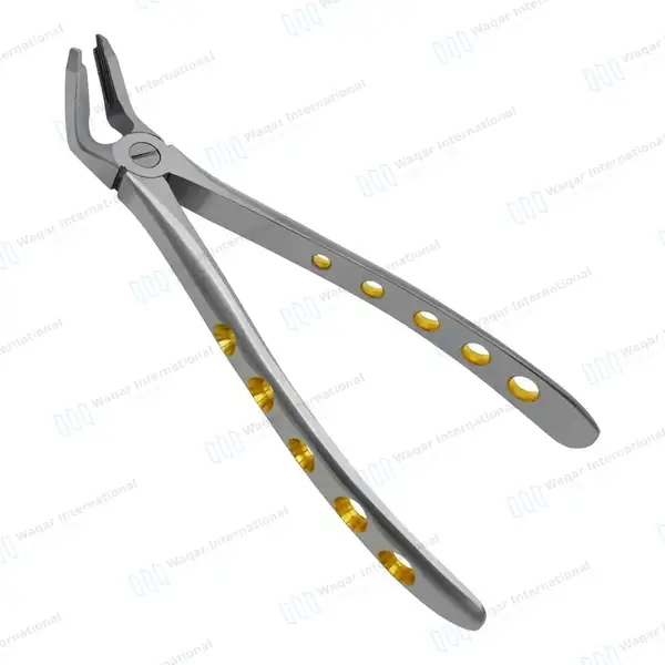Dental Extracting Forceps #F2 Diamond Dusted Gold Handle - surgical instruments manufactured by Waqar International, Sialkot - view 2