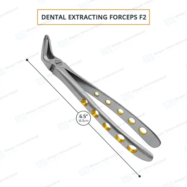Dental Extracting Forceps #F2 Diamond Dusted Gold Handle - surgical instruments manufactured by Waqar International, Sialkot - view 3