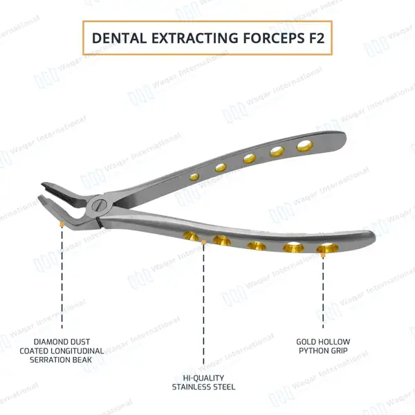Dental Extracting Forceps #F2 Diamond Dusted Gold Handle - surgical instruments manufactured by Waqar International, Sialkot - view 4