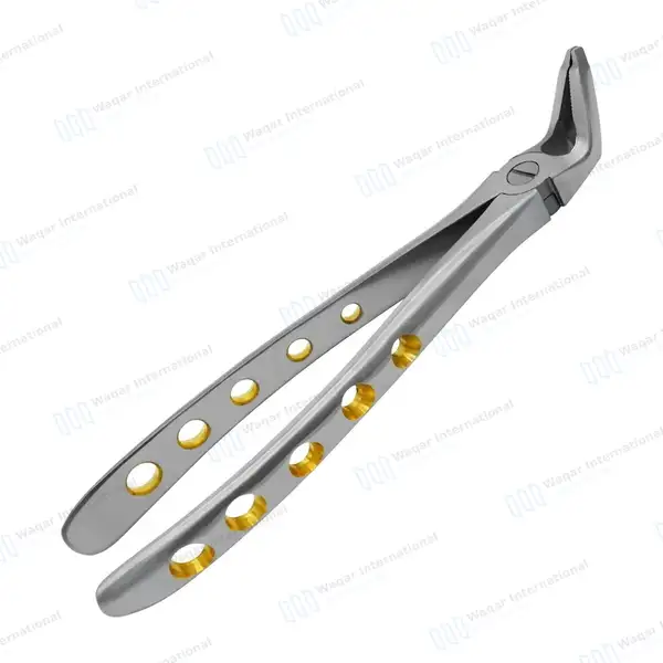 Dental Extracting Forceps #F2 Diamond Dusted Gold Handle - surgical instruments manufactured by Waqar International, Sialkot - view 7