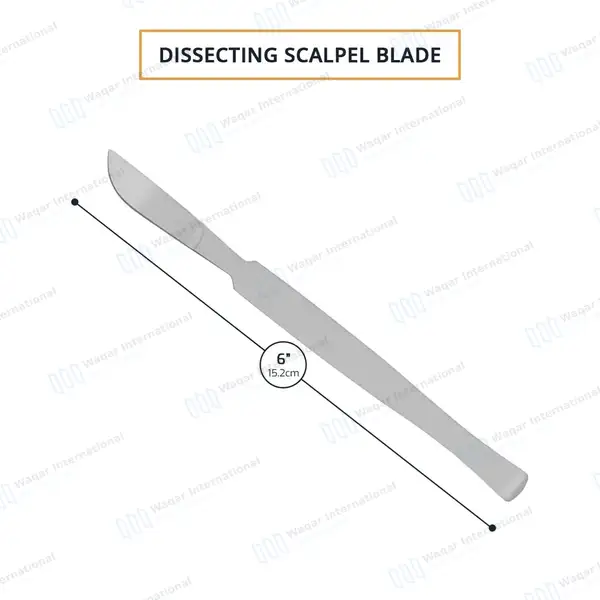 Dissecting Scalpel Knife 6″ – Fixed Blade - surgical instruments manufactured by Waqar International, Sialkot - view 3