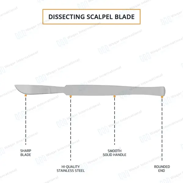 Dissecting Scalpel Knife 6″ – Fixed Blade - surgical instruments manufactured by Waqar International, Sialkot - view 4