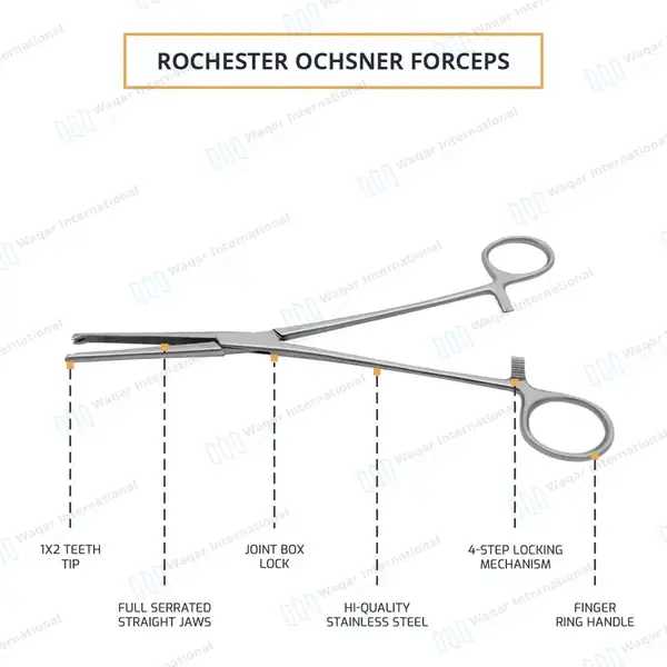 Rochester-Ochsner Forceps 8″ Straight 1×2 Teeth Serrated Jaws - surgical instruments manufactured by Waqar International, Sialkot - view 4