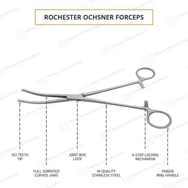 Rochester-Ochsner Forceps 8″ Curved 1×2 Teeth Serrated Jaws - surgical instruments manufactured by Waqar International, Sialkot - view 4