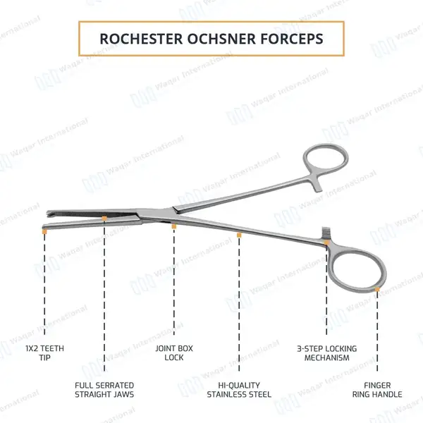 Rochester-Ochsner Forceps 5.5″ Straight 1×2 Teeth Serrated Jaws - surgical instruments manufactured by Waqar International, Sialkot - view 4