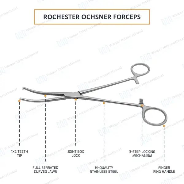 Rochester-Ochsner Forceps 5.5″ Curved 1×2 Teeth Serrated Jaws - surgical instruments manufactured by Waqar International, Sialkot - view 4
