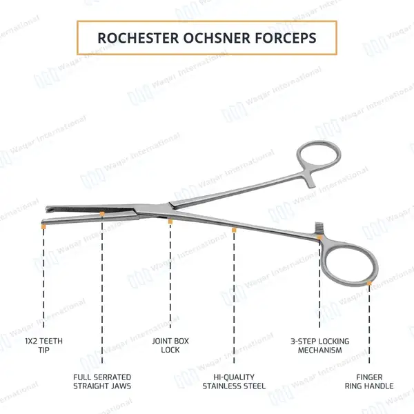 Rochester-Ochsner Forceps 6.25″ Straight 1×2 Teeth Serrated Jaws - surgical instruments manufactured by Waqar International, Sialkot - view 4
