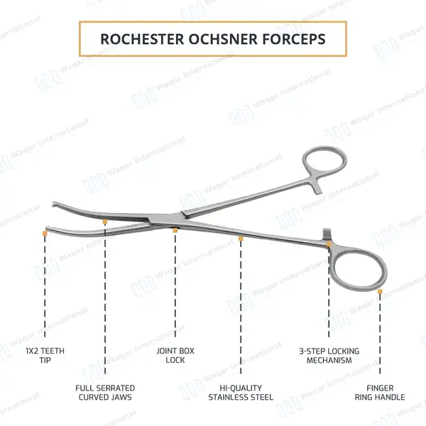 Rochester-Ochsner Forceps 6.25″ Curved 1×2 Teeth Serrated Jaws - surgical instruments manufactured by Waqar International, Sialkot - view 3