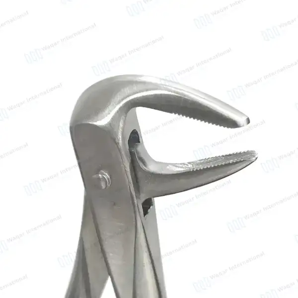 Pedo Extracting Forceps #74N Narrow Beaks - surgical instruments manufactured by Waqar International, Sialkot - view 3