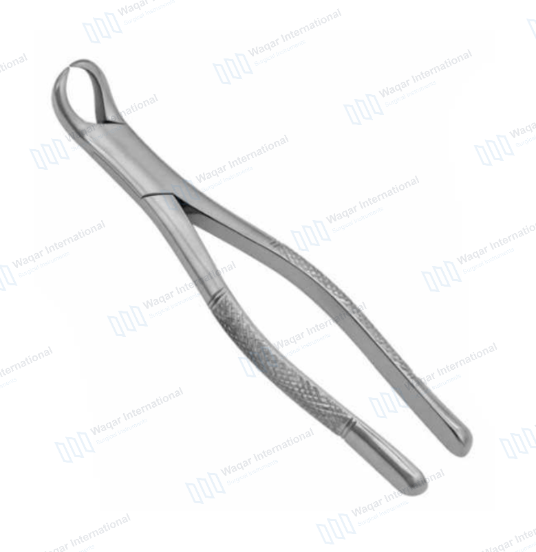 English Pattern Dental Tooth Extracting Forceps — surgical instruments manufactured by Waqar International, Sialkot
