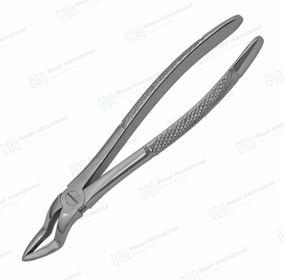 English Pattern Dental Tooth Extracting Forceps German — surgical instruments manufactured by Waqar International, Sialkot