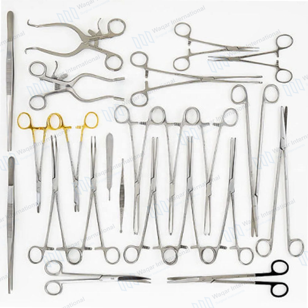 Stainless Steel Anatomical Model Equine Throat — surgical instruments manufactured by Waqar International, Sialkot