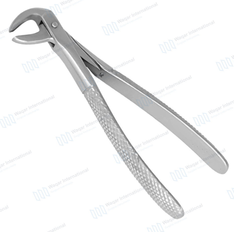 Stainless Steel Dental Tooth Extracting Forceps — surgical instruments manufactured by Waqar International, Sialkot
