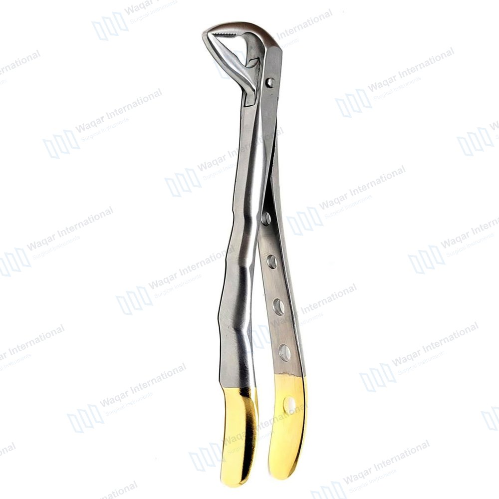 Stainless Steel Dental Extracting Forceps-Professional — surgical instruments manufactured by Waqar International, Sialkot