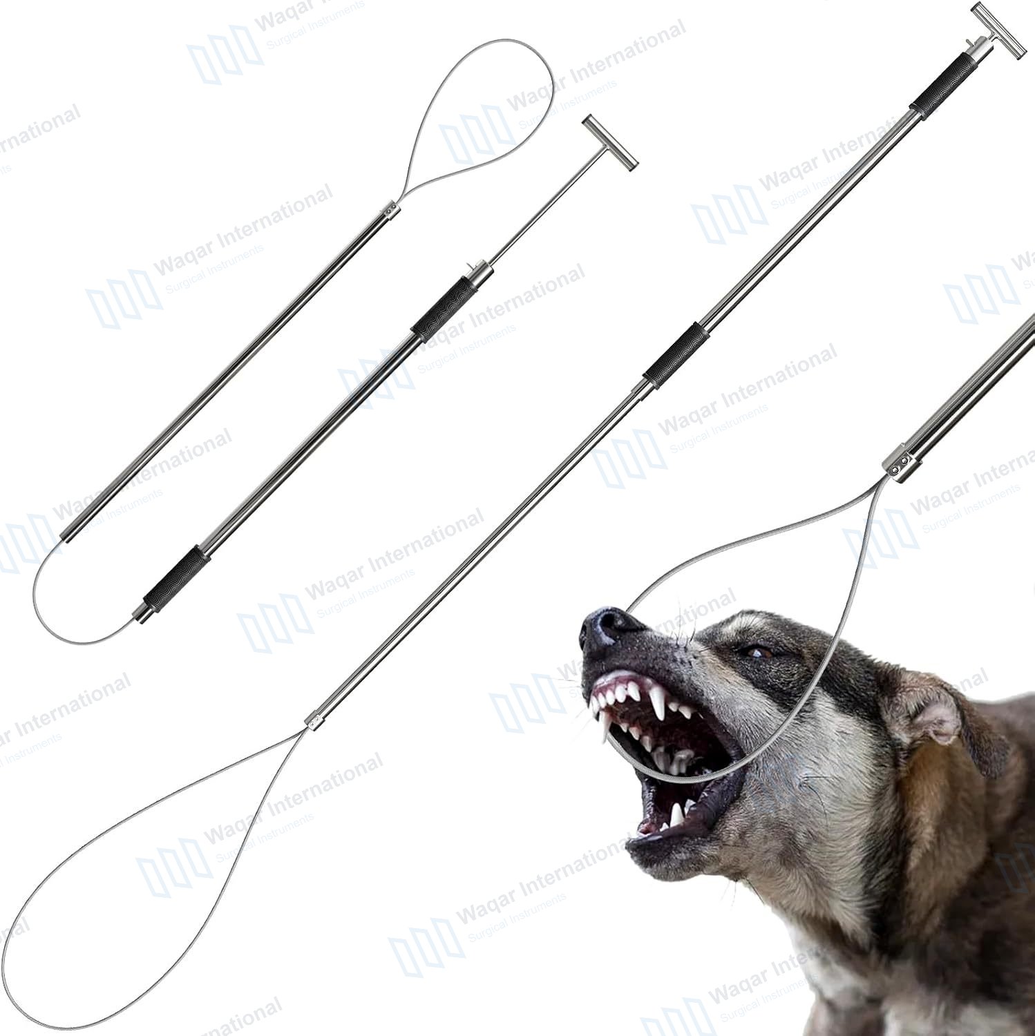 Shorty Hog Holder Instrument Set Veterinary Pig Restraining — surgical instruments manufactured by Waqar International, Sialkot