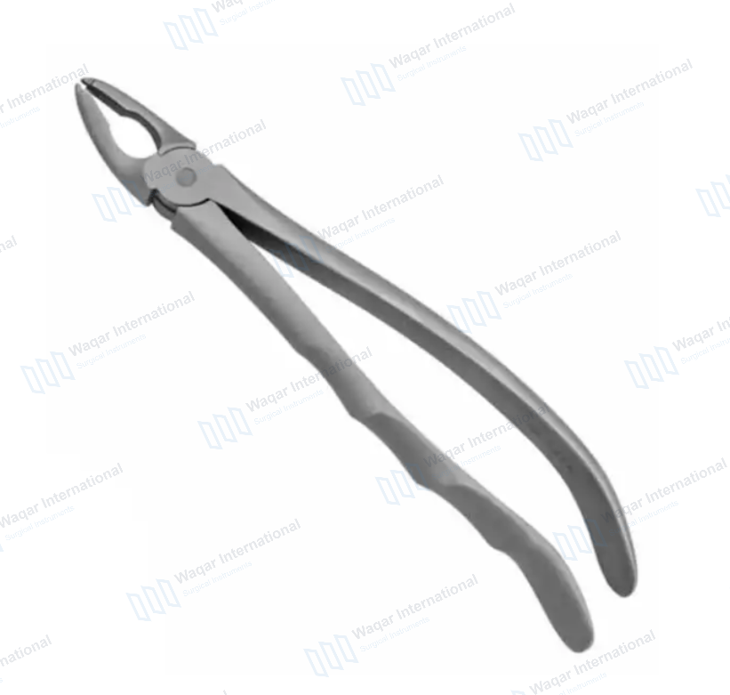 Stainless Steel Dental Extraction Forceps Ergonomic Grip — surgical instruments manufactured by Waqar International, Sialkot