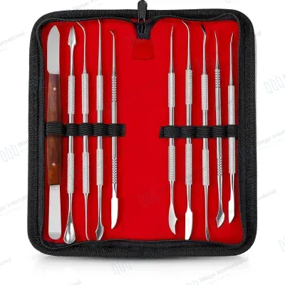 10 PCS German Instrument Sets