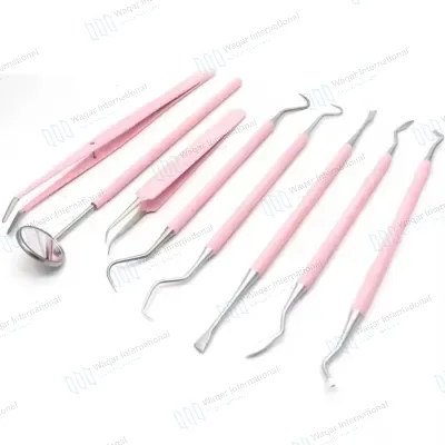8 Pcs Stainless Steel Color Dental Tool