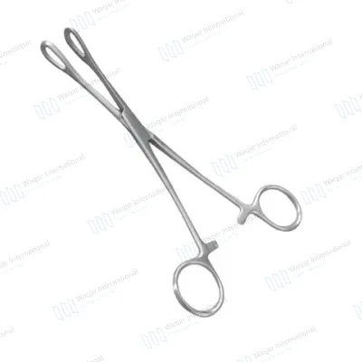 9.5" Stainless Steel Forceps