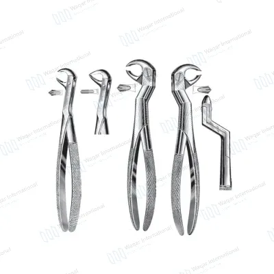 Tooth Extraction Dental Forceps