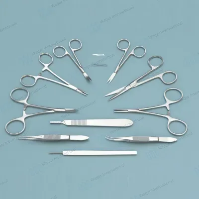 10-Piece Stainless Steel Veterinary General Surgery Anatomical Model