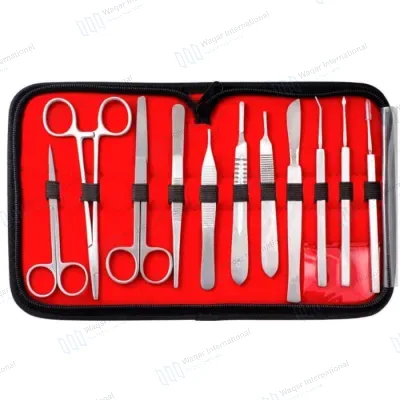 Veterinary Student Manikin Surgical Training Dissecting Instruments