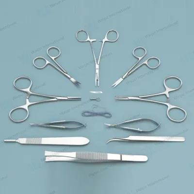 Veterinary Orthopedic Microsurgery Anatomical Model Stainless Steel Medical Education