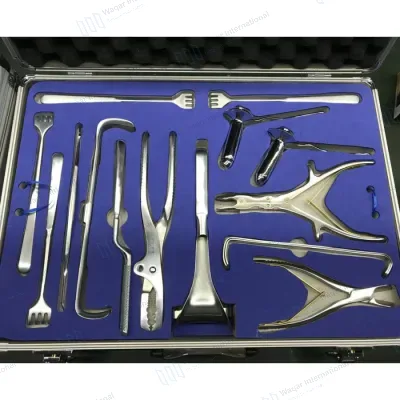 Stainless Steel Anatomical Model Orthopedics Veterinary