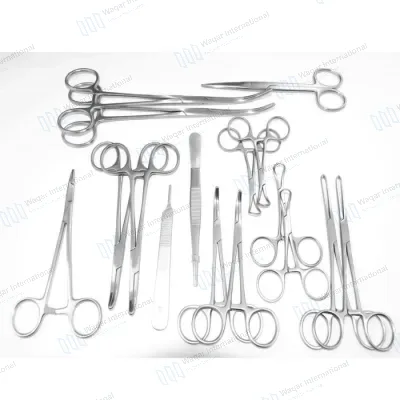77-Piece Stainless Steel Prostatectomy Anatomical Model