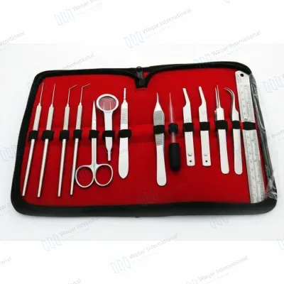 Stainless Steel Entomology Dissection Kit Teaser Needles Adson