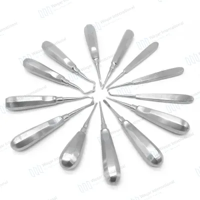 13 Pcs Set Stainless Steel Curved Dental Elevator