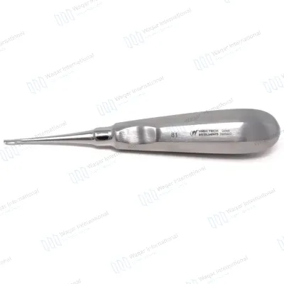 Stainless Steel Dental Tooth Extraction Elevator Apical Root