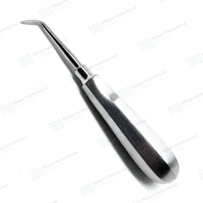 Stainless Steel Serrated Curved (15mm) Dental Root