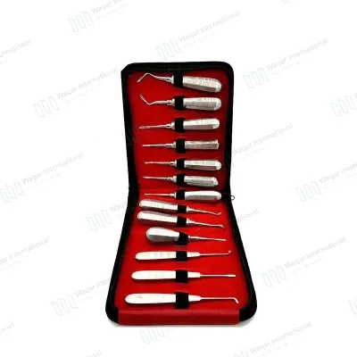 Dental Root Elevator Surgical Instrument Orthodontic