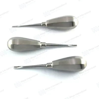 Root Elevator Stainless Steel Dental Instrument