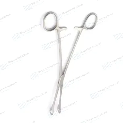 Surgical Use Reusable Steel Sponge Holding Forceps