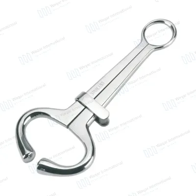 Veterinary Reusable Stainless Steel Horse Bull Traction Ring Nose