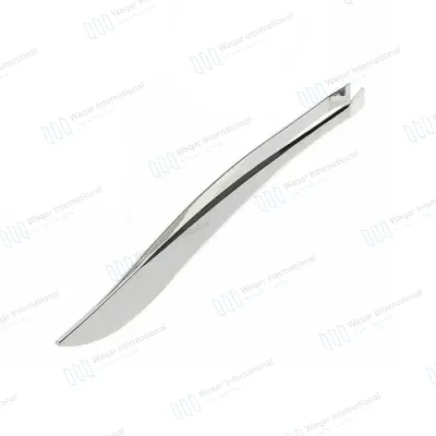 Stainless Steel Eyebrow Tweezers Slanted Tip