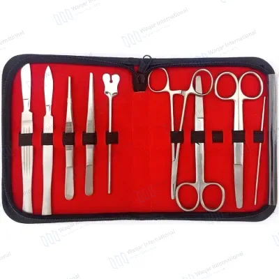 13 Pcs Stainless Steel Minor Surgery Kit Sets