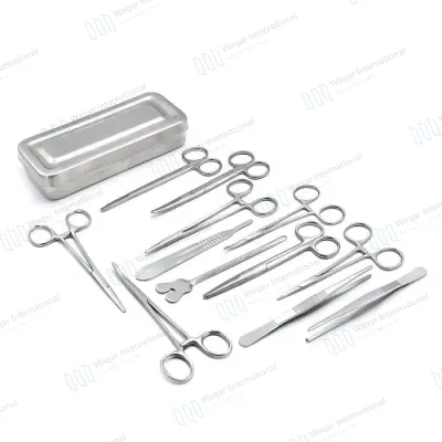 Stainless Steel Minor Surgery Student Hospital Use Dissecting