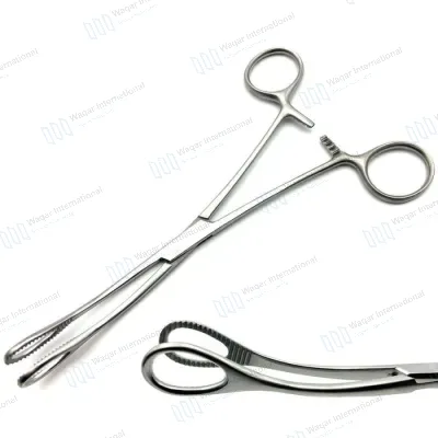 Stainless Steel Surgical Forceps Sponge Holding