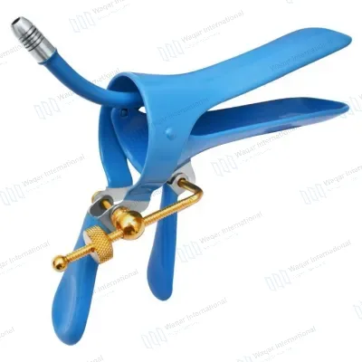 Insulated Stainless Steel Reusable Multi-Color Coated
