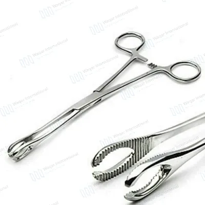 Stainless Steel Piercing Sponge Forceps Polish