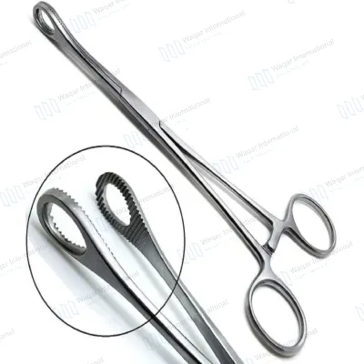 Sponge Forceps 9.5" Straight Serrated Surgical