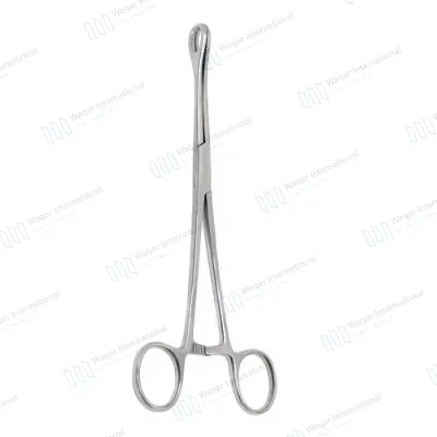 Sponge Forceps 12 Inch Straight